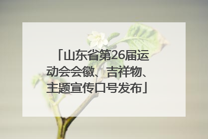 山东省第26届运动会会徽、吉祥物、主题宣传口号发布