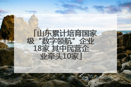 山东累计培育国家级“数字领航”企业18家 其中民营企业牵头10家