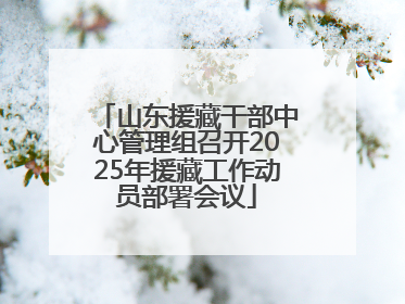 山东援藏干部中心管理组召开2025年援藏工作动员部署会议