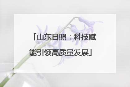 山东日照：科技赋能引领高质量发展