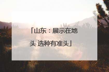 山东：展示在地头 选种有准头