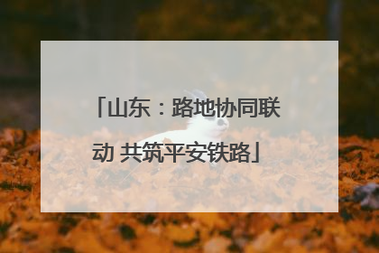 山东：路地协同联动 共筑平安铁路