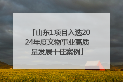 山东1项目入选2024年度文物事业高质量发展十佳案例