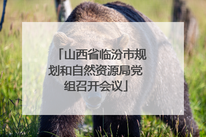 山西省临汾市规划和自然资源局党组召开会议
