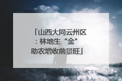 山西大同云州区：林地生“金” 助农增收前景旺