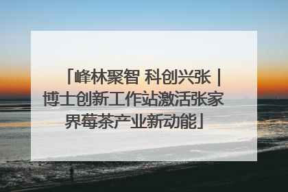 峰林聚智 科创兴张｜博士创新工作站激活张家界莓茶产业新动能