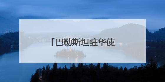 巴勒斯坦驻华使馆举办声援巴勒斯坦人民活动