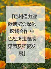 巴州借力亚欧博览会深化区域合作 中巴经济走廊成果惠及经贸发展