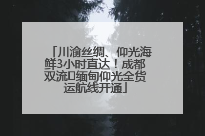 川渝丝绸、仰光海鲜3小时直达！成都双流⇌缅甸仰光全货运航线开通