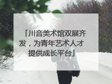 川音美术馆双展齐发，为青年艺术人才提供成长平台