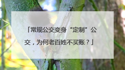 常规公交变身“定制”公交，为何老百姓不买账？