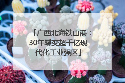 广西北海铁山港：30年蝶变超千亿现代化工业强区
