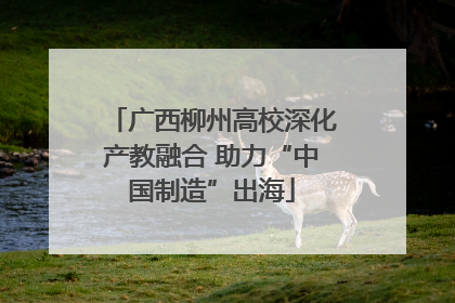 广西柳州高校深化产教融合 助力“中国制造”出海