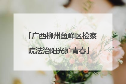 广西柳州鱼峰区检察院法治阳光护青春