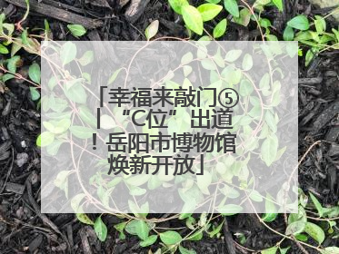 幸福来敲门⑤丨“C位”出道！岳阳市博物馆焕新开放