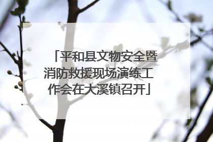 平和县文物安全暨消防救援现场演练工作会在大溪镇召开