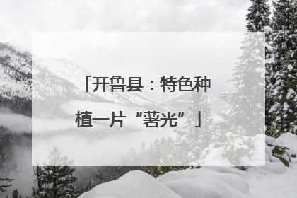 开鲁县：特色种植一片“薯光”