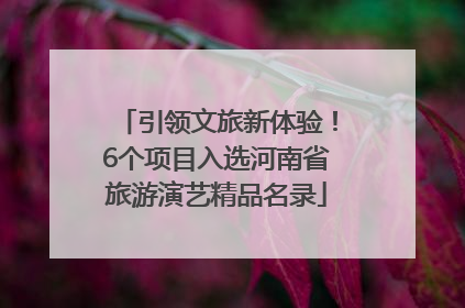 引领文旅新体验！6个项目入选河南省旅游演艺精品名录