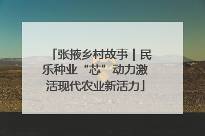 张掖乡村故事｜民乐种业“芯”动力激活现代农业新活力