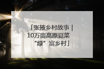 张掖乡村故事｜10万亩高原夏菜“绿”富乡村