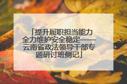 提升履职担当能力 全力维护安全稳定——云南省政法领导干部专题研讨班侧记