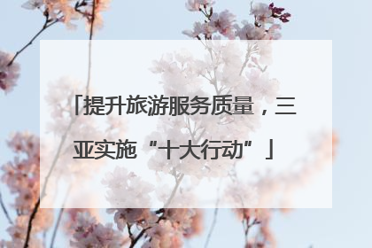提升旅游服务质量，三亚实施“十大行动”