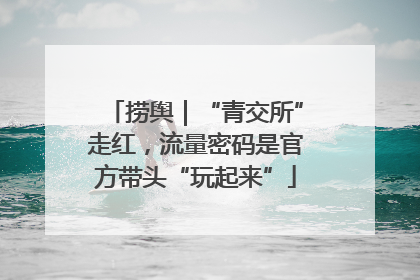 捞舆｜“青交所”走红，流量密码是官方带头“玩起来”