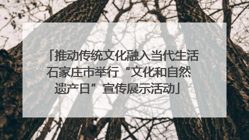 推动传统文化融入当代生活 石家庄市举行“文化和自然遗产日”宣传展示活动