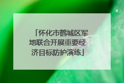 怀化市鹤城区军地联合开展重要经济目标防护演练