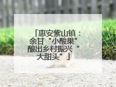 惠安紫山镇：余甘“小酸果”酿出乡村振兴“大甜头”