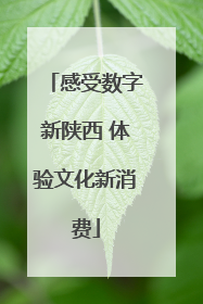 感受数字新陕西 体验文化新消费
