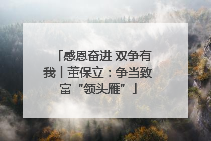 感恩奋进 双争有我丨董保立：争当致富“领头雁”