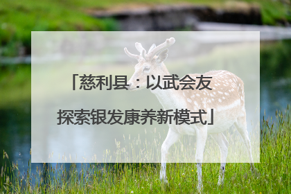 慈利县：以武会友 探索银发康养新模式