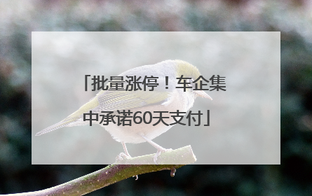 批量涨停！车企集中承诺60天支付