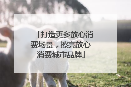打造更多放心消费场景，擦亮放心消费城市品牌