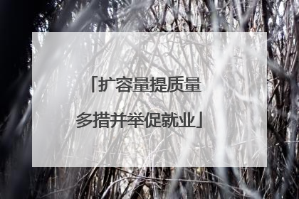 扩容量提质量 多措并举促就业