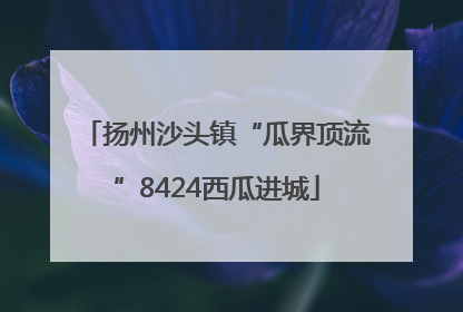 扬州沙头镇“瓜界顶流”8424西瓜进城