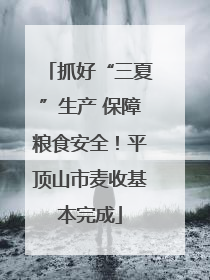 抓好“三夏”生产 保障粮食安全！平顶山市麦收基本完成