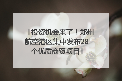 投资机会来了！郑州航空港区集中发布28个优质商贸项目
