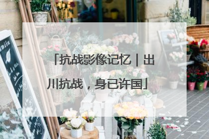 抗战影像记忆｜出川抗战，身已许国