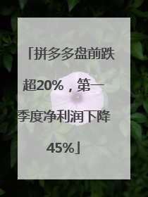 拼多多盘前跌超20%，第一季度净利润下降45%