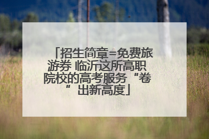 招生简章=免费旅游券 临沂这所高职院校的高考服务“卷”出新高度