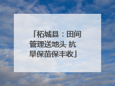 柘城县：田间管理送地头 抗旱保苗保丰收