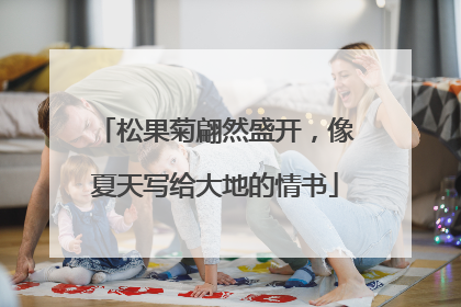 松果菊翩然盛开，像夏天写给大地的情书