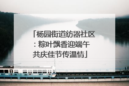 杨园街道纺器社区：粽叶飘香迎端午 共庆佳节传温情