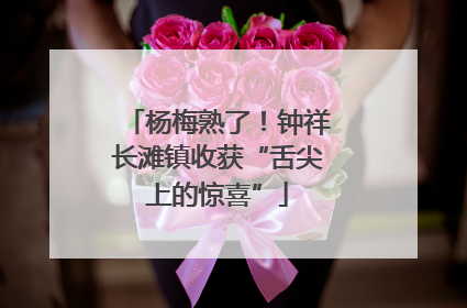 杨梅熟了！钟祥长滩镇收获“舌尖上的惊喜”