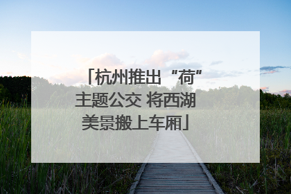 杭州推出“荷”主题公交 将西湖美景搬上车厢