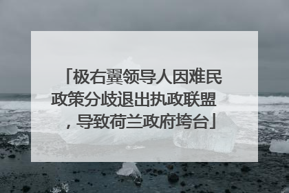 极右翼领导人因难民政策分歧退出执政联盟，导致荷兰政府垮台
