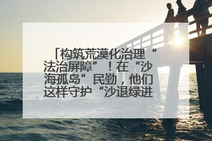 构筑荒漠化治理“法治屏障”！在“沙海孤岛”民勤，他们这样守护“沙退绿进”的生态奇迹