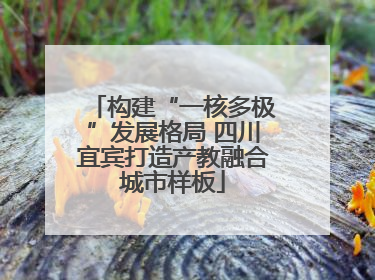构建“一核多极”发展格局 四川宜宾打造产教融合城市样板